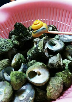 シタナミの塩茹で-レシピのメイン写真