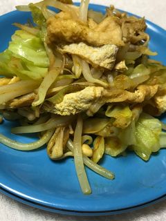 油揚げ入りカレー風味のタップリ野菜炒め-レシピのメイン写真