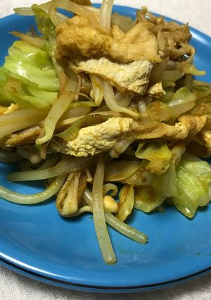 油揚げ入りカレー風味のタップリ野菜炒め-レシピのメイン写真
