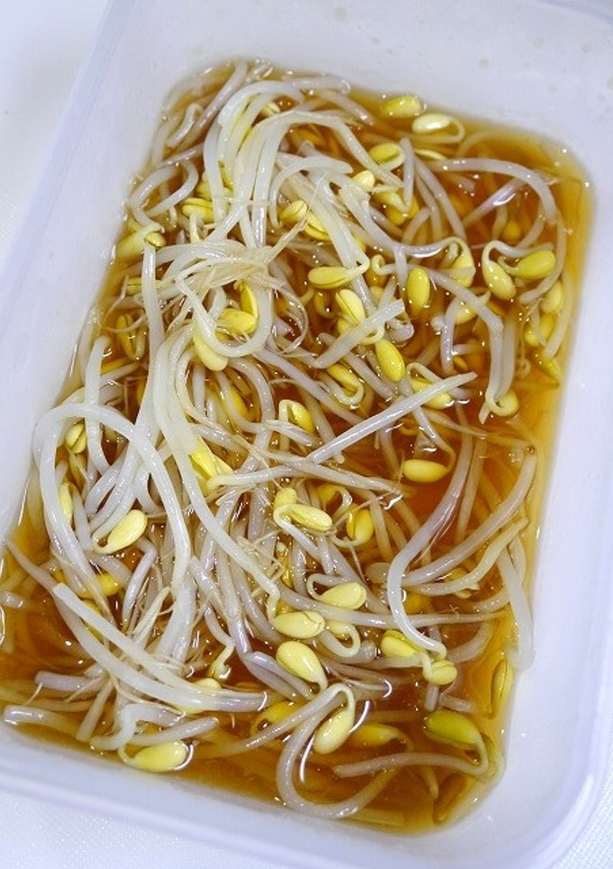 レンジで簡単作り置き！もやしの煮びたし-レシピのメイン写真