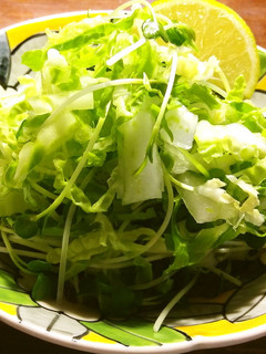 白菜とかいわれ大根のサラダ-レシピのメイン写真