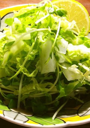 白菜とかいわれ大根のサラダ-レシピのメイン写真