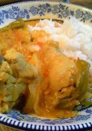 マレーシア風チキンカレー-レシピのメイン写真