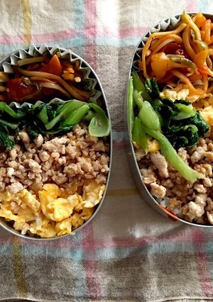 3色そぼろ弁当-レシピのメイン写真