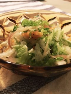 柿と白菜と茗荷のサラダ-レシピのメイン写真