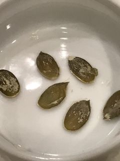 かぼちゃの種を食べました!-レシピのメイン写真