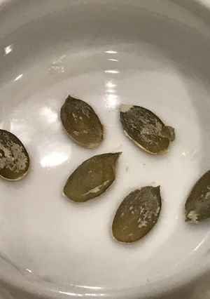 かぼちゃの種を食べました！-レシピのメイン写真