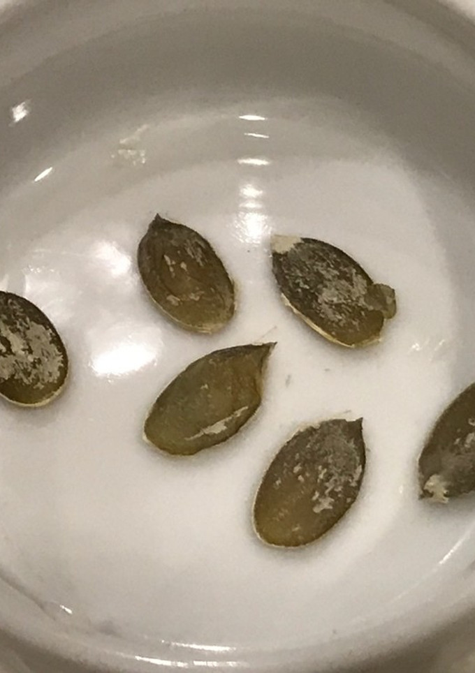 かぼちゃの種を食べました！-レシピのメイン写真