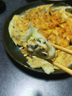キクラゲとシャキシャキ野菜で健康餃子-レシピのメイン写真
