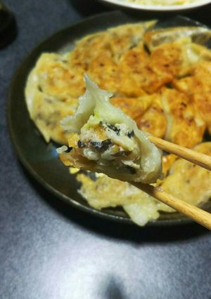 キクラゲとシャキシャキ野菜で健康餃子-レシピのメイン写真