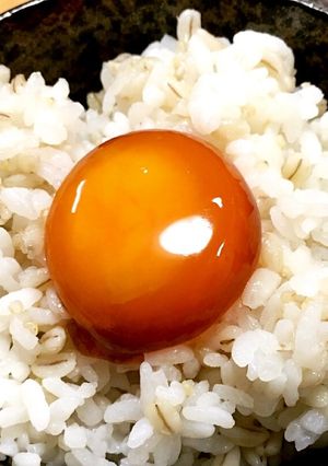漬け卵黄ご飯-レシピのメイン写真