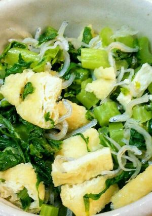 【保存食】白だしで簡単青菜のじゃこ炒め-レシピのメイン写真