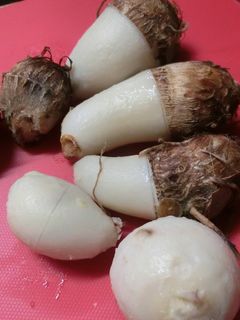 里芋の下ごしらえ、皮がつるん-レシピのメイン写真