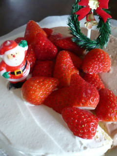 2色のクリスマスケーキ-レシピのメイン写真