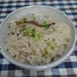 婆ちゃんの椎茸と京揚げの炊き込みご飯