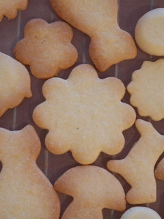 型抜きクッキー-レシピのメイン写真