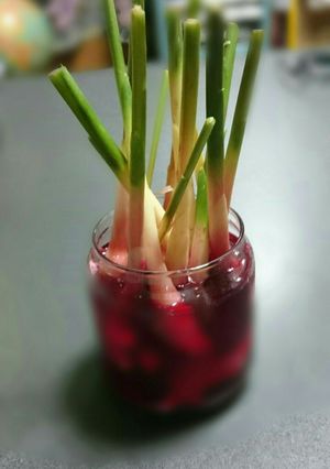 葉しょうがの赤梅酢漬け-レシピのメイン写真