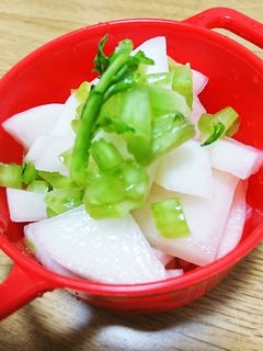 ✨浅漬け大根✨-レシピのメイン写真