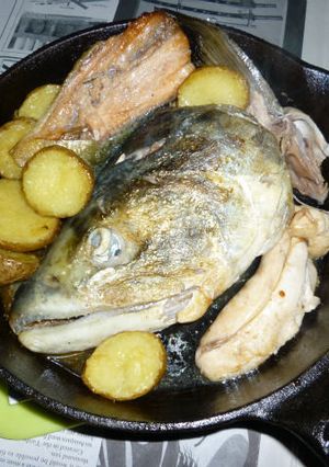 秋鮭の兜の塩焼き-レシピのメイン写真
