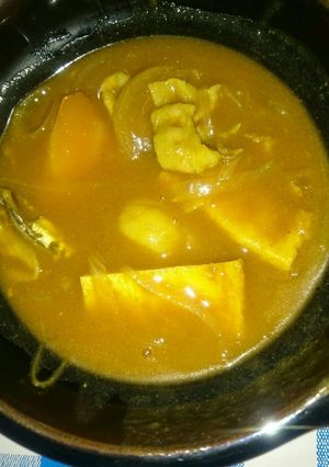 煮干しだしカレーと酒粕カレー-レシピのメイン写真