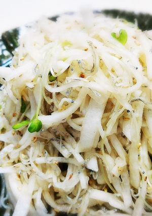 サッパリ副菜【大根とジャコの酢の物】-レシピのメイン写真