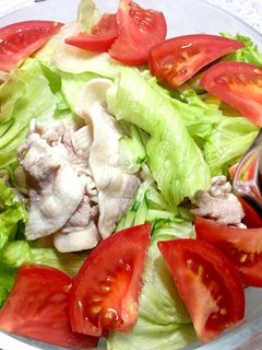 冷しゃぶサラダ生姜味のタレで。-レシピのメイン写真