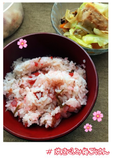 超簡単✿梅の炊き込みご飯✿-レシピのメイン写真