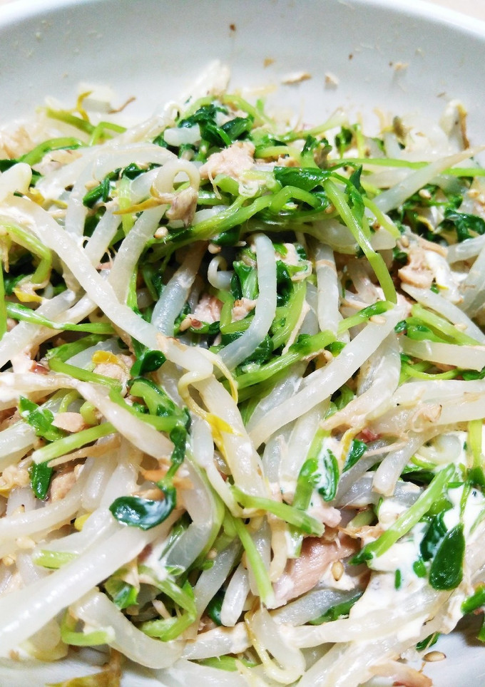 簡単♪豆苗ともやしのサラダ-レシピのメイン写真
