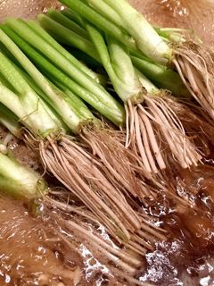 簡単に出来る☆シンプルせり鍋!-レシピのメイン写真