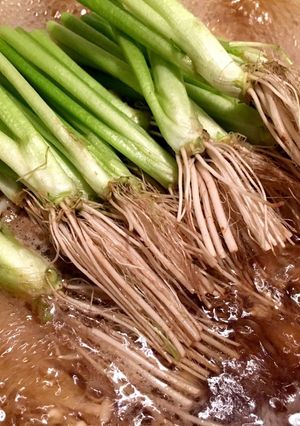 簡単に出来る☆シンプルせり鍋!-レシピのメイン写真