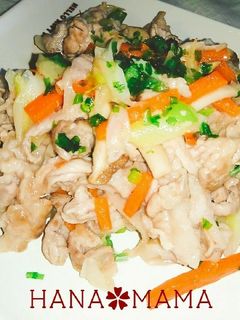 豚肉と長ネギの塩炒め-レシピのメイン写真