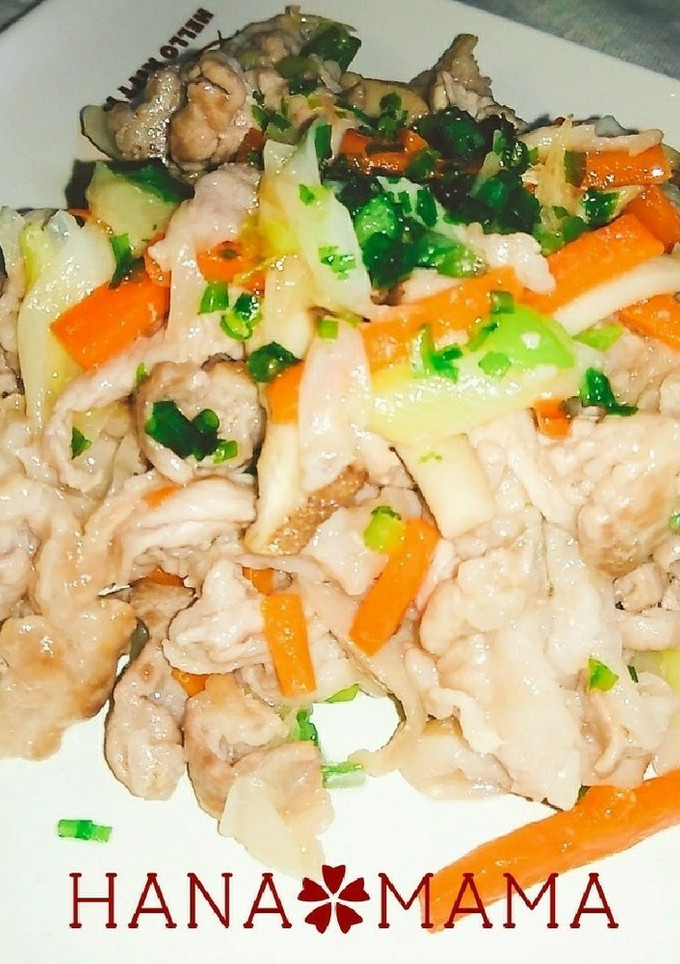 豚肉と長ネギの塩炒め-レシピのメイン写真