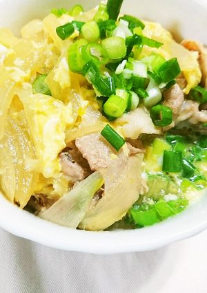 豚肉が美味しい他人丼-レシピのメイン写真