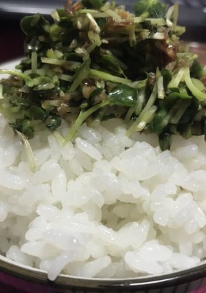 カイワレとおかかの和え物 動画-レシピのメイン写真