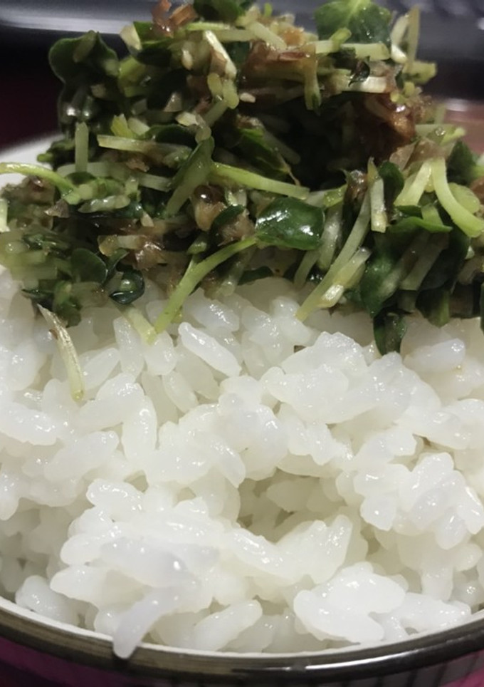 カイワレとおかかの和え物 動画-レシピのメイン写真