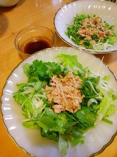 居酒屋風 パクチーサラダ-レシピのメイン写真