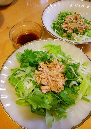 居酒屋風 パクチーサラダ-レシピのメイン写真