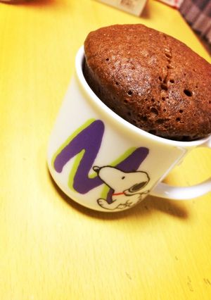 材料5つ！簡単ガトーショコラ(o^^o)-レシピのメイン写真