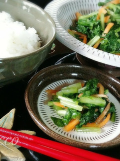 おにぎりに◎簡単・失敗なし!大根葉の漬物-レシピのメイン写真