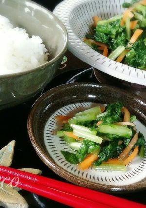 おにぎりに◎簡単・失敗なし！大根葉の漬物-レシピのメイン写真