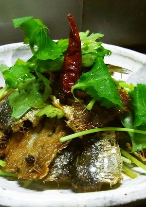 鰯のソテー、粒山椒ドレッシング☆-レシピのメイン写真