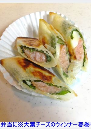 ※お弁当に※大葉チーズウィンナーの春巻き-レシピのメイン写真