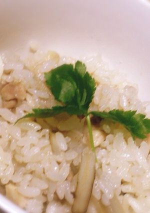すべらない！炊飯器で簡単鶏ごぼうごはん-レシピのメイン写真