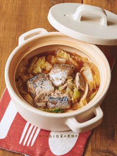 ☆さば缶と白菜の煮物☆-レシピのメイン写真
