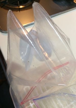 保存袋洗ったら速乾ネコミミ-レシピのメイン写真