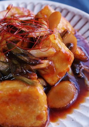 豆腐と赤ネギの台湾風醤油煮込み-レシピのメイン写真