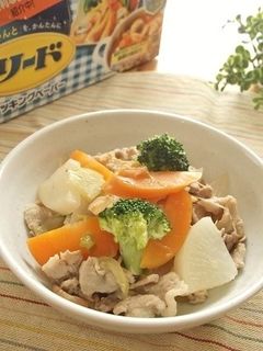 ニンニク風味 たっぷり根菜と豚肉の炒め煮-レシピのメイン写真