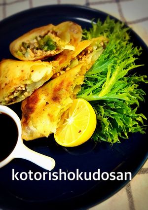 キャベツた〜っぷり★チーズ入り春巻き★-レシピのメイン写真