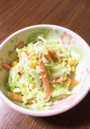 簡単 コールスロー-レシピのメイン写真