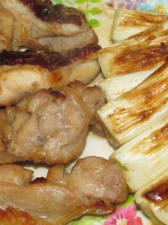 焼き鳥☆^−^☆withねぎ-レシピのメイン写真
